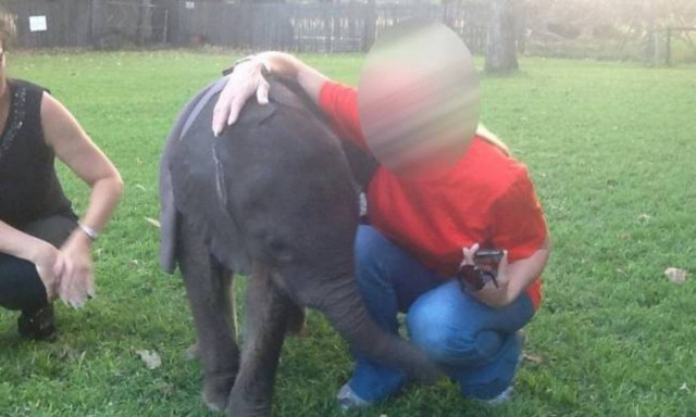 Ελληνίδα σταρ αγκαλιά με το πιο μικρό ελεφαντάκι στον κόσμο!