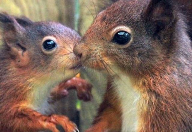 Η μητέρα που έχει σπάσει τα κοντέρ στις γέννες