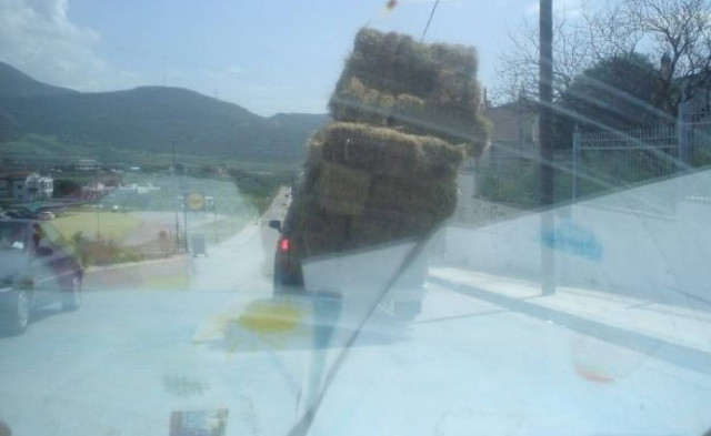 Βίντεο: Θα πέσει το τριφύλλι ή δεν θα πέσει...