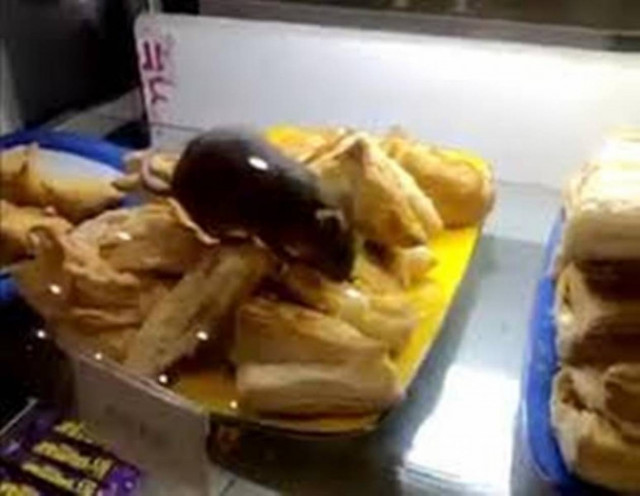 Αρουραίος τρώει σε ντελικατέσεν αεροδρομίου (video)!