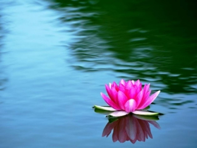 Οι τυχερές και όμορφες στιγμές της ημέρας: Παρασκευή 25 Απριλίου