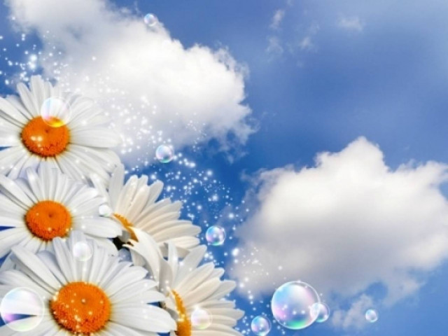 Οι τυχερές και όμορφες στιγμές της ημέρας: Σάββατο 26 Απριλίου