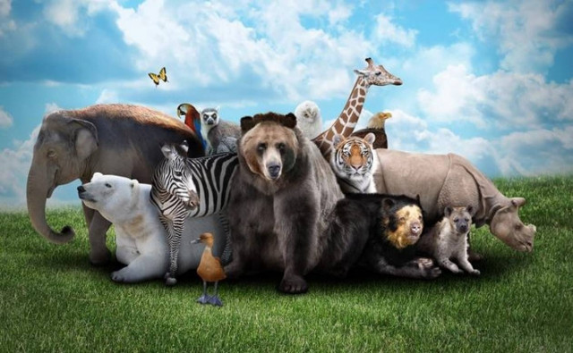 Δε φαντάζεστε ποιο είναι το πιο επικίνδυνο ζώο του πλανήτη!