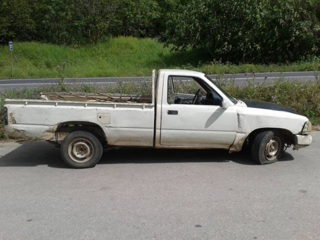 Βοιωτία: Σπείρα έβαλε στο μάτι χοιροτροφική μονάδα