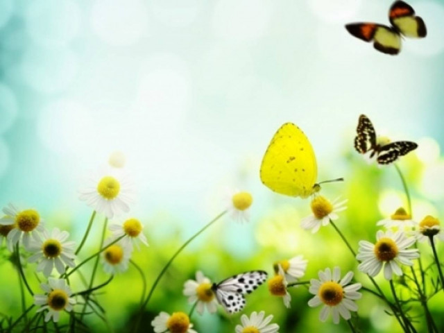 Οι τυχερές και όμορφες στιγμές της ημέρας: Πέμπτη 1η Μαΐου