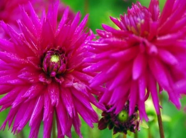 May Day 2014: Pictures of spring!