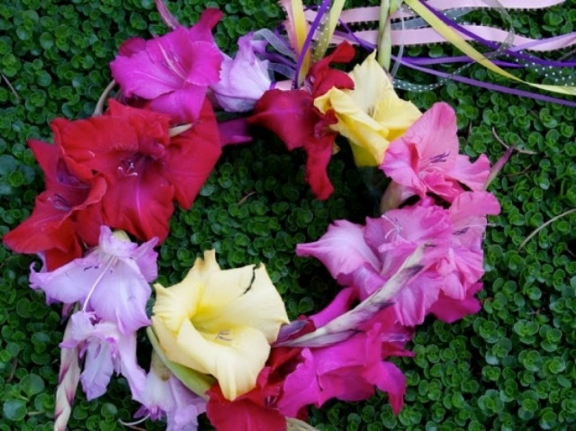 Ερωτική Πρωτομαγιά: Ποια λουλούδια ταιριάζουν στο ταίρι σου;