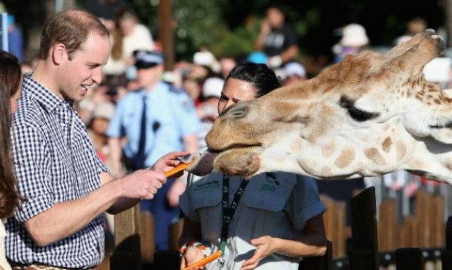 Οι 10 πιο αστείες εικόνες από την περιοδεία του βασιλικού ζεύγους