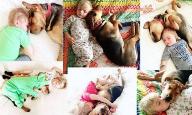 To αγόρι και το κουτάβι! Kοιμούνται ακόμα μαζί