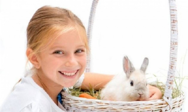 Ποια είναι τα ιδανικά κατοικίδια για ένα παιδί;