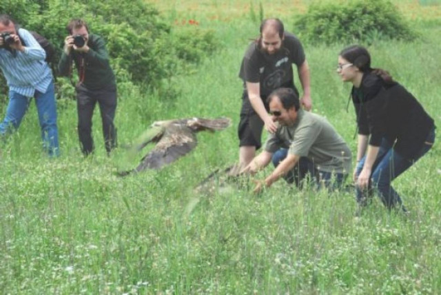 15 άγρια πουλιά άνοιξαν τα φτερά τους