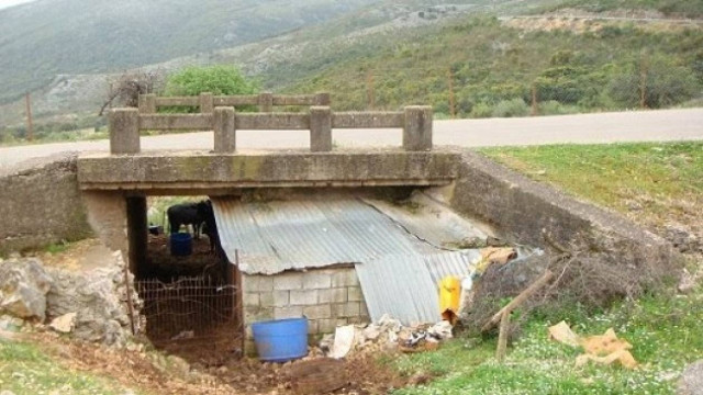 Ψαχνά: Βρήκαν τους… λύκους που έτρωγαν αρνιά και κατσίκια!