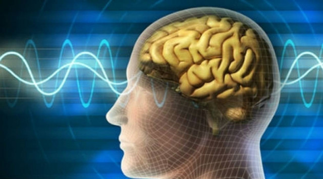 Πότε κάποιος άνθρωπος θεωρείται μορφωμένος;