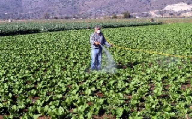 Καβάλα: Συνάντηση εργασίας στη ΔΟΥ για έλεγχο αιτήσεων επιστροφής ΦΠΑ αγροτών