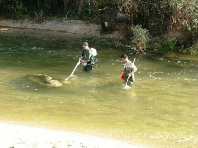 Θεσσαλονίκη:Εκδήλωση για την Παγκόσμια Ημέρα Μετανάστευσης Ψαριών