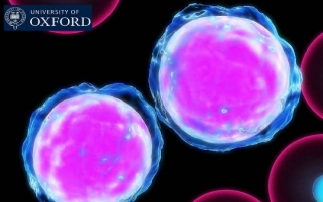 Ανακάλυψαν τα θανατηφόρα «μητρικά κύτταρα» του καρκίνου