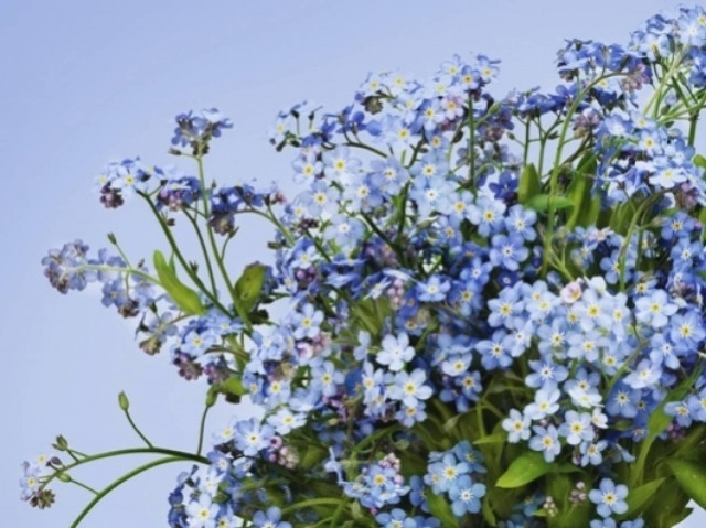 Οι τυχερές και όμορφες στιγμές της ημέρας: Δευτέρα 19 Μαΐου