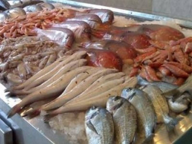 Μηχανιώνα: Κατάσχεση αλιευμάτων στην ιχθυόσκαλα