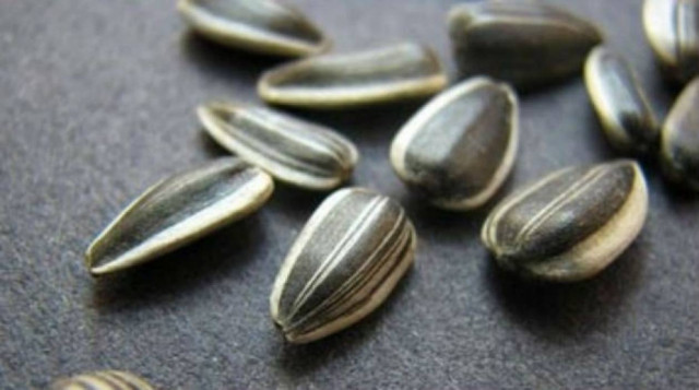 Επτά λόγοι να τρώμε κάθε μέρα ηλιόσπορους