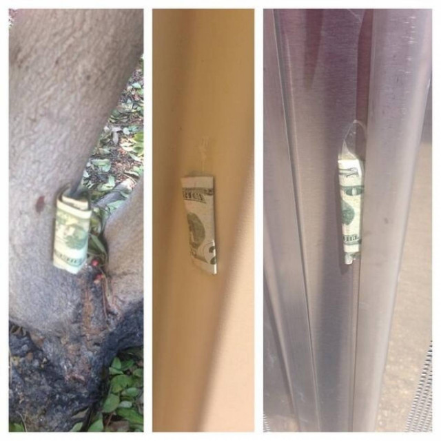 Χαμός στο διαδίκτυο: Πλούσιος κρύβει χρήματα σε απίθανα σημεία (pics)