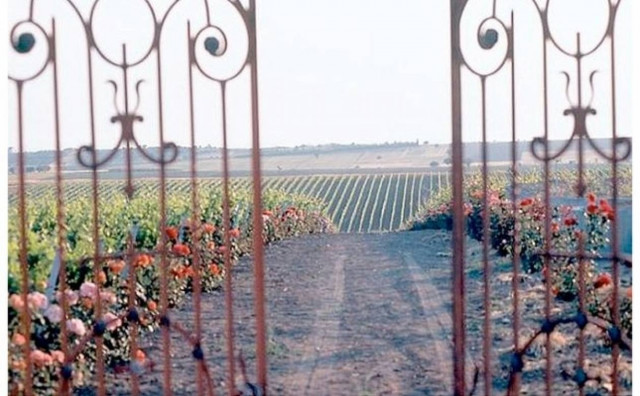 «Ανοιχτές Πόρτες» στα οινοποιεία της Ελλάδας!