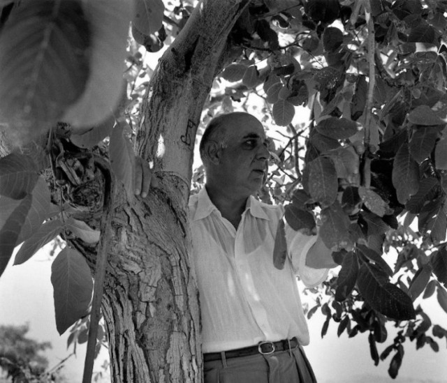 Έκθεση: «Οι φωτογραφίες του Γιώργου Σεφέρη» στο Παλέρμο