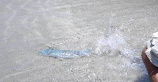 Πανικός σε παραλία της Ιεράπετρας - Ανήσυχοι οι λουόμενοι