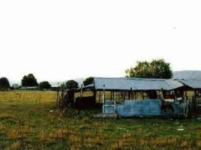 Λαβράκι της ΕΛ.ΑΣ. σε στάνη στη Ρόδο