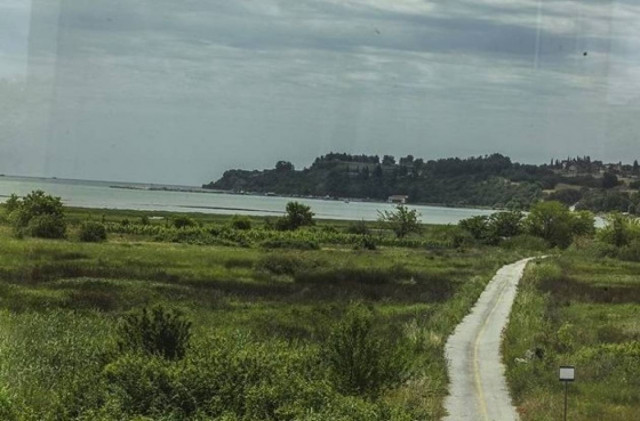 Πιερία: Γιορτή για τα αδέσποτα σε έναν υγρότοπο... παράδεισο!