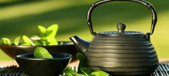 Μαγνησία: Βότανα και αναψυκτικά ταξιδεύουν στην Κίνα