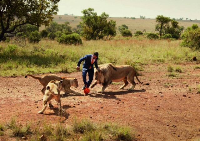 Ολλανδία: Έπαιξε ποδόσφαιρο με τρία λιοντάρια! (video)