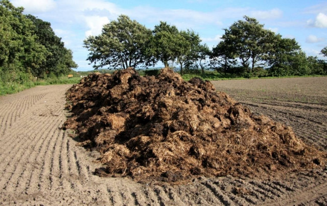 Ζωολογικός κήπος πουλάει.... (βίντεο)
