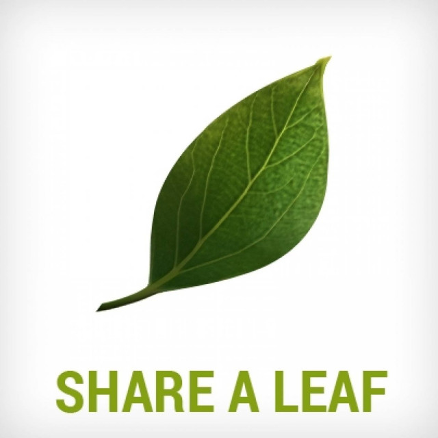 5/6 Παγκόσμια Ημέρα Περιβάλλοντος: Μοιράσου το πράσινο φύλλο του ΑΥΡΑ