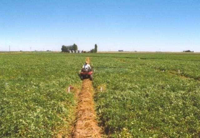 Παραγωγοί: Οι Έλληνες δεν καταδέχονται να δουλέψουν στα χωράφια
