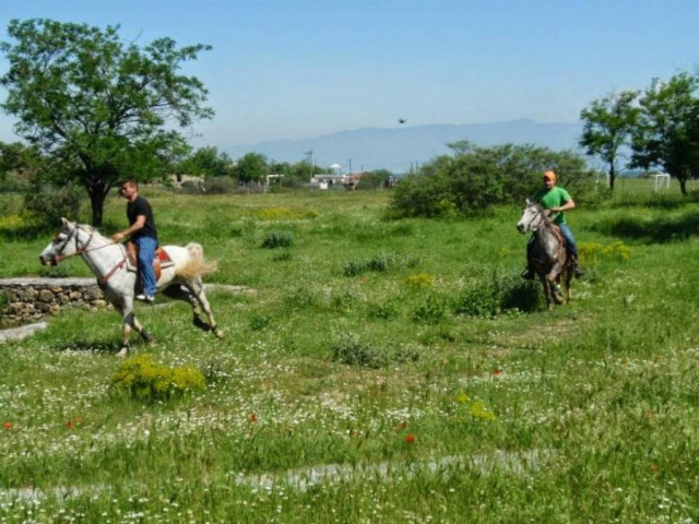 Χαλκιδική: Τρίτη ιππική συνάντηση στην Αρναία
