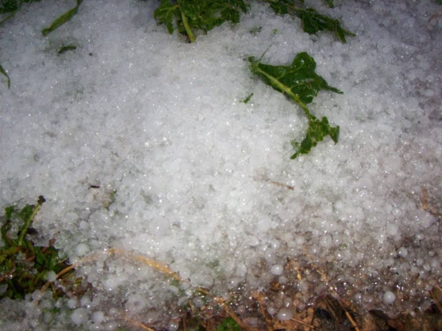 Τρίκαλα: Χαλαζόπτωση προκάλεσε ζημιές σε καλλιέργειες