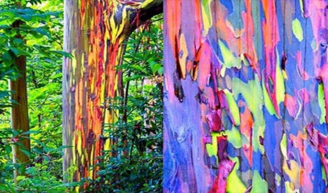 Φυσικά φαινόμενα βγαλμένα από ταινία επιστημονικής φαντασίας!