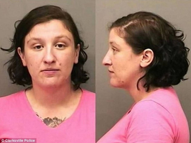 ΗΠΑ: Βρήκαν 37 νεκρά σκυλιά σε εκπαιδευτήριο