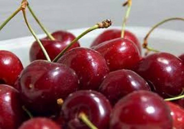 Λαγκαδάς: Γιορτή Κερασιού Όσσας