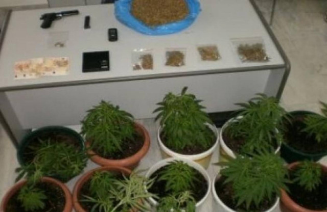 Ημαθία: Χειροπέδες για δυο… γλάστρες κάνναβης!