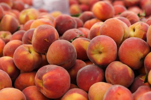 Μακεδονία: Συμφωνία για εξαγωγές ροδάκινων στη Ρωσία