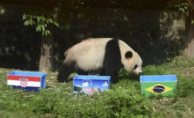 Παγκόσμιο κύπελλο 2014: Προβλέψεις από πάντα... τέλος στην Κίνα!