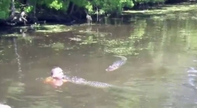 Λουιζιάνα: Ταΐζει αλιγάτορες με το στόμα! (video)