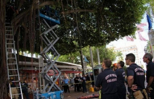 ΗΠΑ: Το ρομαντικό ραντεβού που πήγε πολύ στραβά