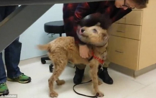 Δείτε το βίντεο που έκανε 1,5 εκατομμύριο ανθρώπους να δακρύσουν