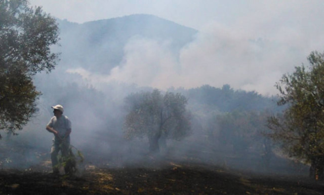 Λέσβος: Υπό έλεγχο η πυρκαγιά