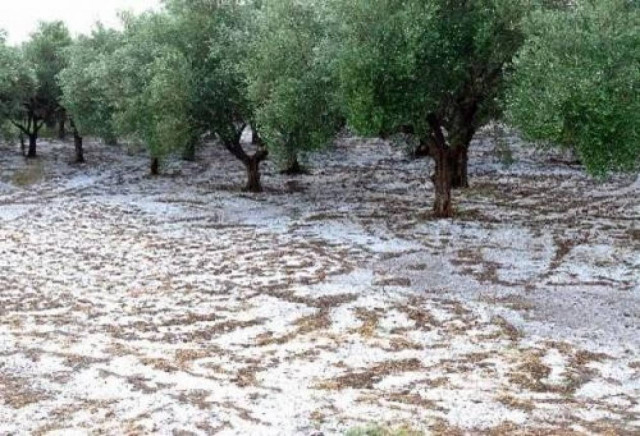 Σέρρες: Σύσκεψη για τις ζημιές από τη χαλαζόπτωση
