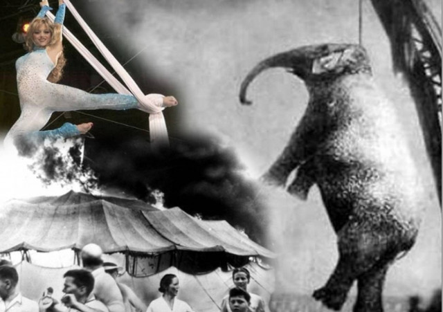 Τα δέκα πιο φρικιαστικά ατυχήματα στην ιστορία του θεάματος (pics)