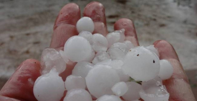 Μακεδονία: Στην Πιερία και τις Σέρρες η ηγεσία του ΕΛΓΑ αύριο