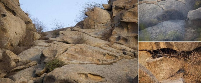 Εσείς μπορείτε να εντοπίσετε τις καμουφλαρισμένες λεοπαρδάλεις; (pics)